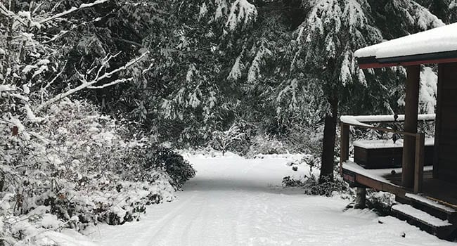 The ritual and love of Christmas at Skelhp