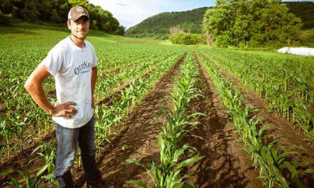 Ottawa’s agriculture failures are putting Canadian farmers at risk